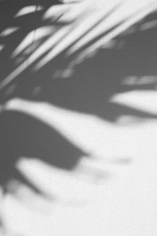 Skin Function – The Dermis