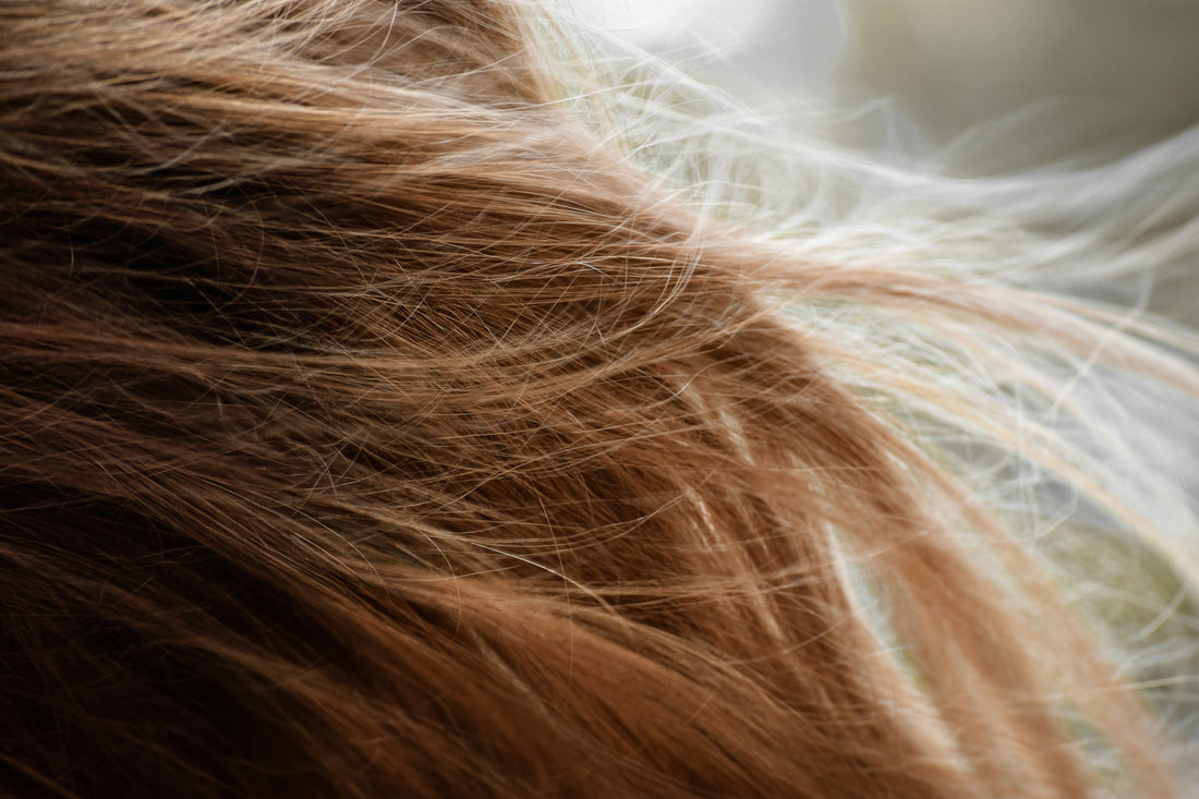 Blow-Dry Your Hair the Right Way for Healthy Shine