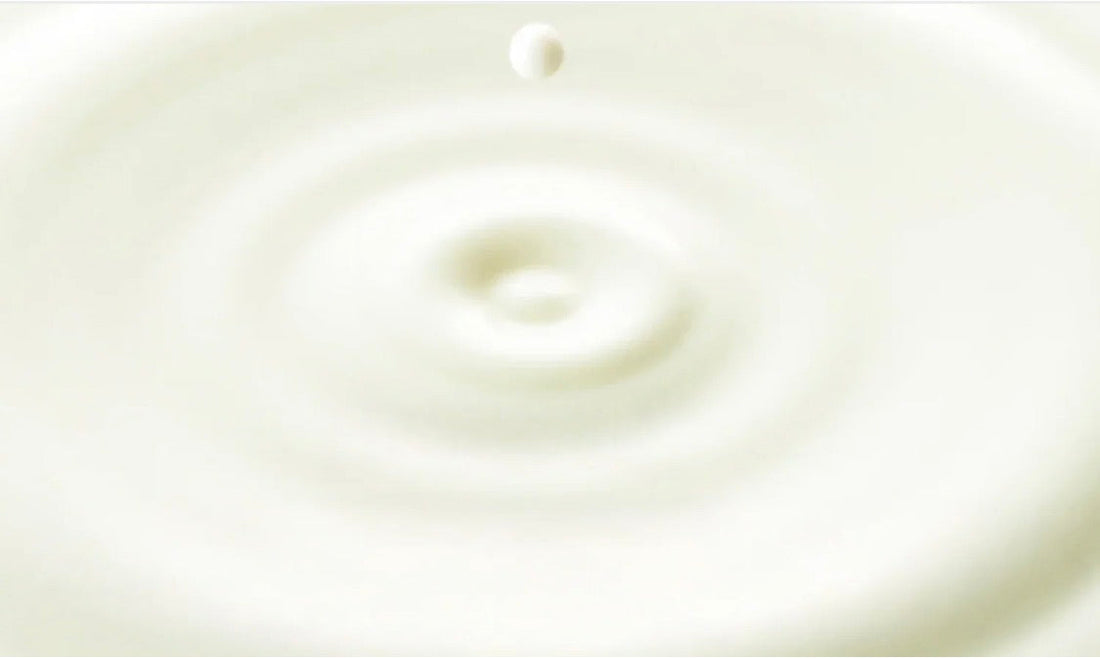 First Milk Style: Moisture Comes First