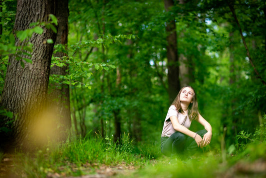 The Benefits of Phytoncide (Part 1): Refresh & Renew