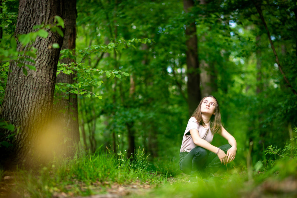 The Benefits of Phytoncide (Part 1): Refresh & Renew