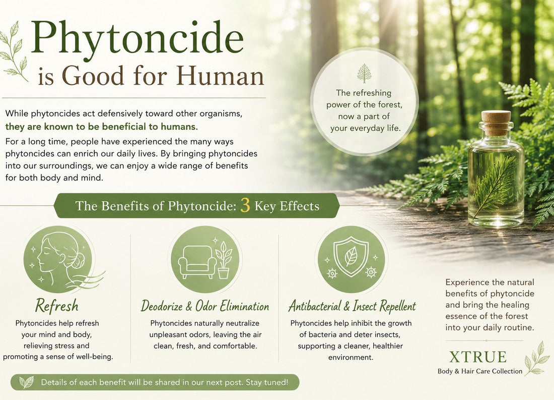 Why Is Phytoncide Beneficial for Humans?