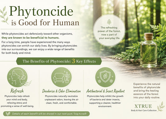 Why Is Phytoncide Beneficial for Humans?